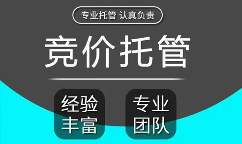 河北竞价托管